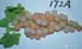 172a