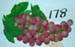 178