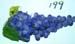 199