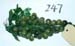 247