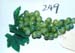 249